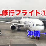【JAL修行フライト①】沖縄→羽田　クラスJ